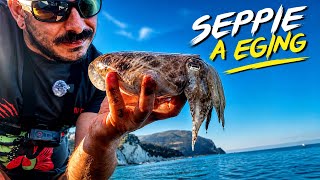 PESCA ALLA SEPPIA,LA STAGIONE È INIZIATA 