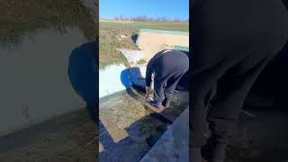 Белый шум воды ручья для сна. Родник Чеботаря Павла Ивановича в Кайнарь Векь