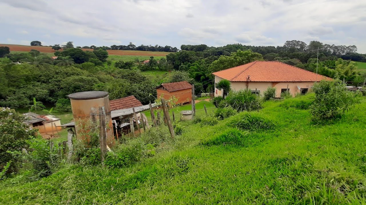 VENDE-SE sítio de porteira fechada vai até com os bichos montado para mexer com vacas .