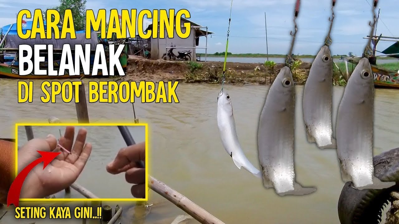 CARA MANCING BELANAK __ DI SPOT BEROMBAK GUNAKAN TRIK INI AGAR MUDAH STRIKE..!!