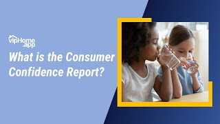 What is the Consumer Confidence Report?