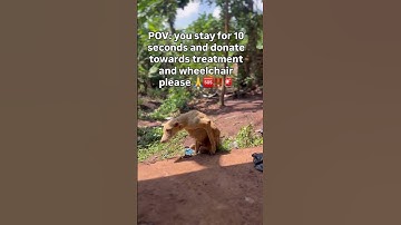 please help and donate any thing you can please via the paypal link in the bio please #pleasedonate