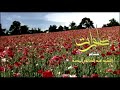 صلوات صلوات على الإمام المنتظر