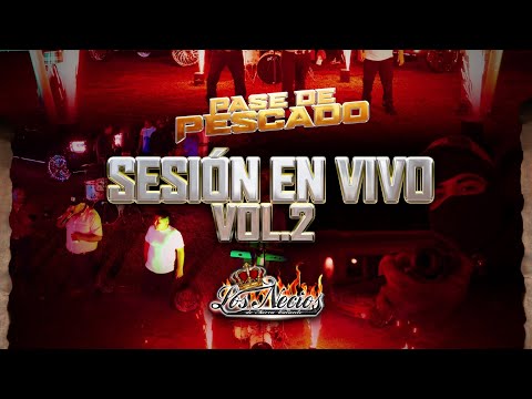 Los Necios De Tierra Caliente - Pase De Pescado (En Vivo) 2024 Video Oficial