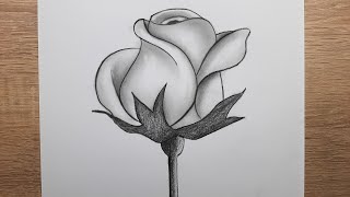 Gül Nasıl Çizilir Adım Adım Kolay Gül Resmi Çizimi Karakalem Kolay Çiçek Çizimleri