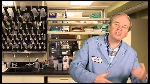 How do we interpret the eutectic value?