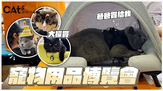 台北寵物用品博覽會/又是大採買的一天/貓貓們都超愛的帳蓬行軍床/台北貓展