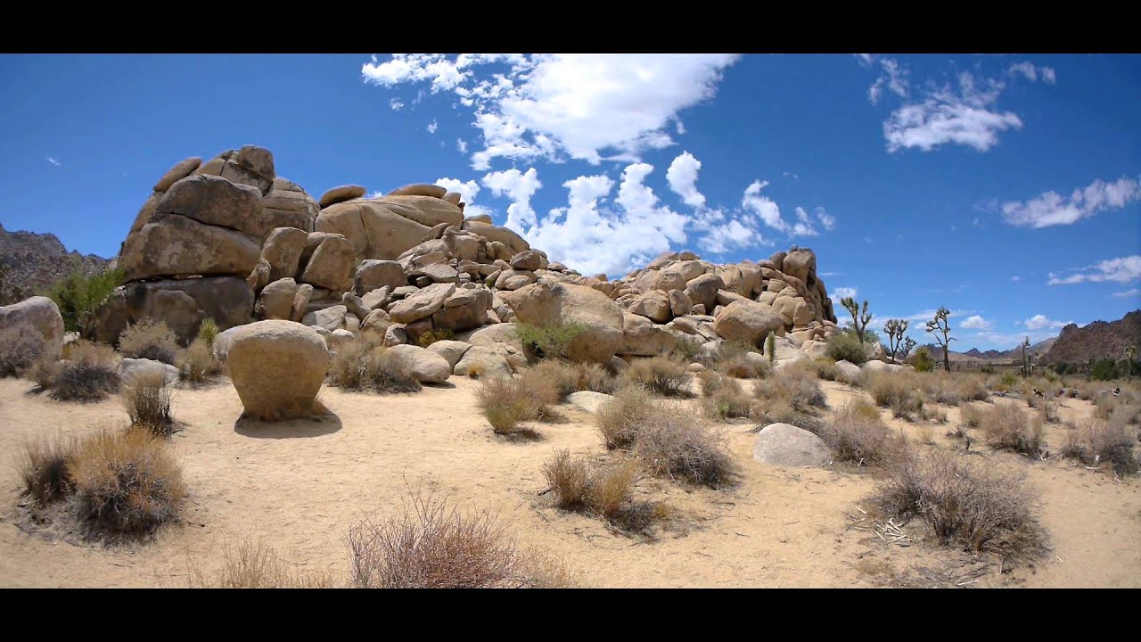 3. Station Joshua Tree National Park und Plam Springs (USA Urlaub 2014