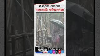 ପଣ ମଡଆସଛ ଆଉ ଏକ ବଡ ବତୟ