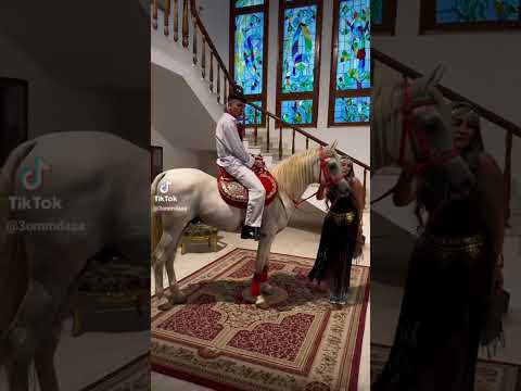 تيم عمده كواليس تيم عمده كواليس