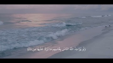 { وَيَجعَلُونَ لِلَّهِ البَنَاتِ سُبحَانَهُ } ، سوره النمل عبدالرحمن مسعد 🤍.