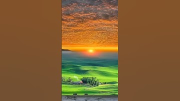 تلاوة مبكية خاشعة للشيخ محمود صديق المنشاوي #القرآن_الكريم #كنوز_القرآن #المنشاوي