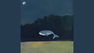 Quanto poco è mancato