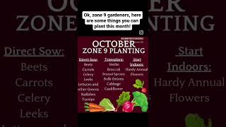 Download Lagu Zone 9 Garden planting list for October! #vegetablegarden #flowergarden #backyardgarden MP3