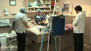 Caring Hands Animal Hospital Veterinarian Las Vegas, Nv