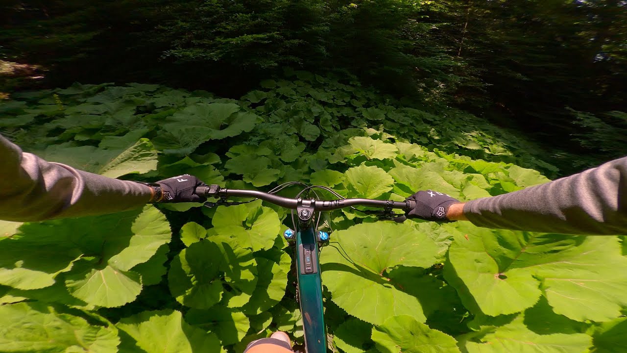 MTB Slovenia | Zabreška planina - Foreplay - Nivce // June 2025