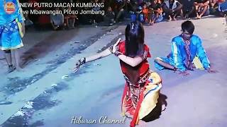 Download Lagu Lagu Jaranan WELAS HANG RING KENE Voc. Wiwik New Putro Macan Kumbang Live mbawangan MP3 Download Lagu Lagu Jaranan WELAS HANG RING KENE Voc. Wiwik New Putro Macan Kumbang Live mbawangan MP3