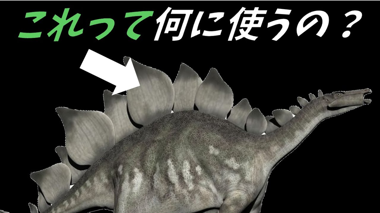 ステゴサウルスは背中にある骨板を何に使ったの？