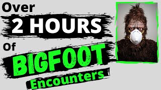 Over Two Hours of Bigfoot Encounters! Marathon #17