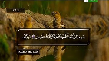 الشيخ طه الفشني تلاوة لسورة البقرة