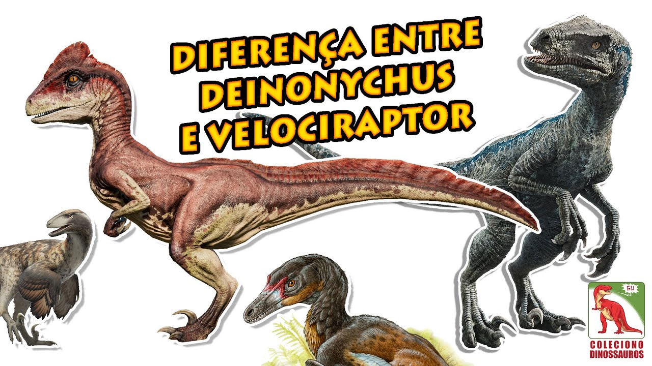 Luta Leão x Dinossauro – Apps no Google Play