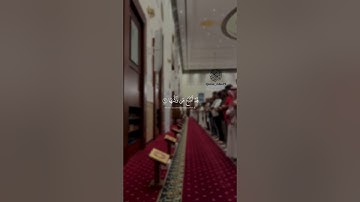 سورة الشمس الشيخ محمد مبارك الفاو