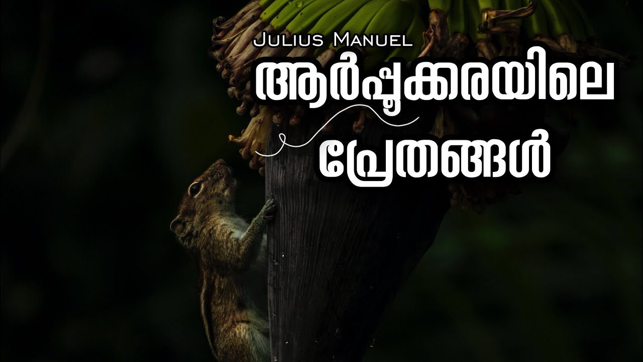 ആർപ്പൂക്കരയിലെ പ്രേതങ്ങൾ!  1 | Encounter with ancient daemons! | Julius Manuel