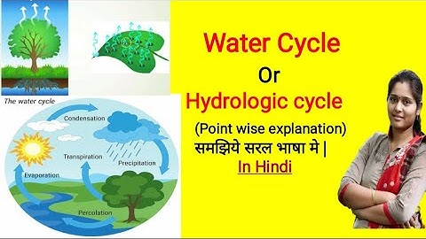 Water cycle | Hydrological cycle | Evaporation, Transpiration, Condensation, Precipitation
