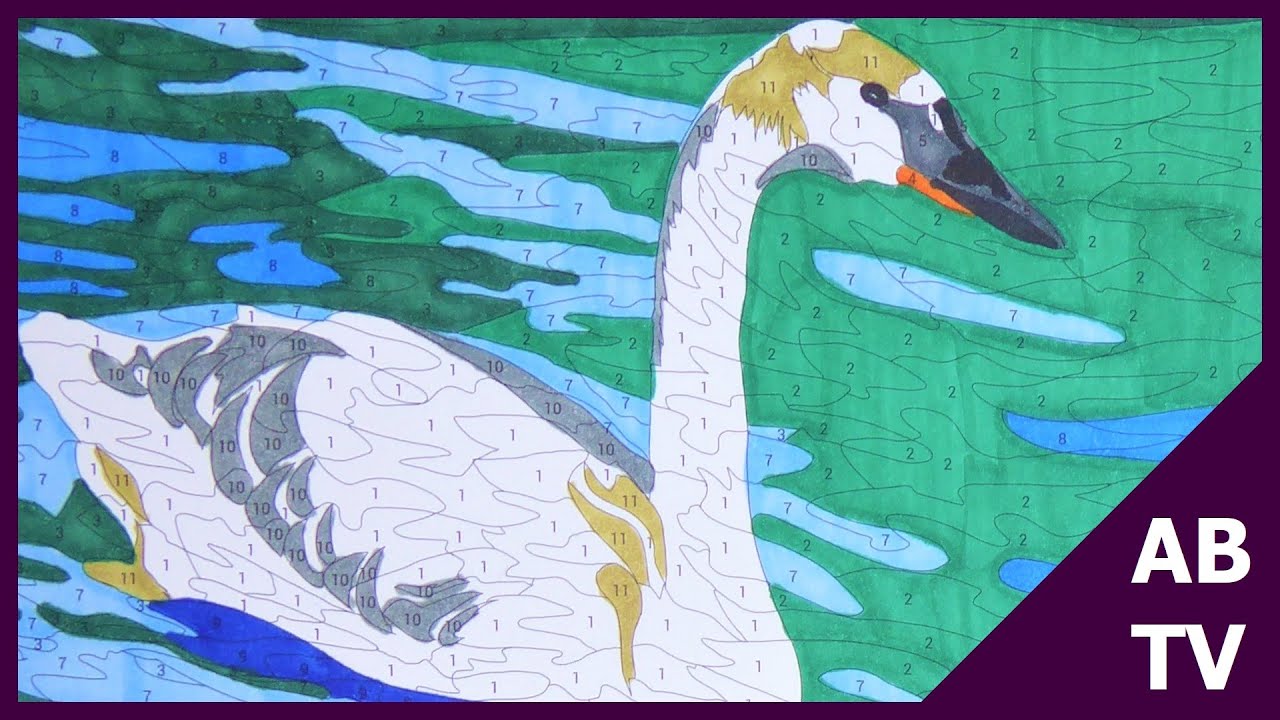 Animals Colouring By Numbers (1) AnnaBananaTV YouTube