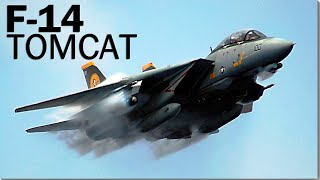 Tại sao huyền thoại tiêm kích hạm “Mèo đực” F-14 bị thất sủng?