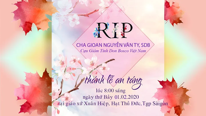 Thnh l An tng cha Gioan Nguyn Vn Ty, SDB
