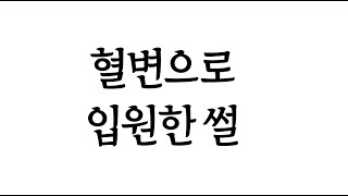 20240224 혈변으로 입원한 썰 [두미두미]