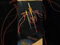 Freehand Pinstriping #finelines #art #pinstriping #pinstripe #handpainted