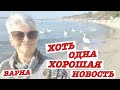 #vlog Болгария 2020 Новости. События Ноября. Что происходит в Варне. Лебеди прилетели