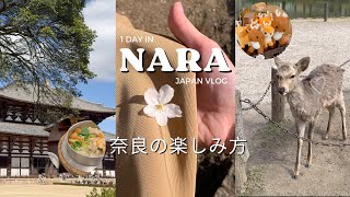 [SUB] 1 Day in Nara! Places to Visit- Cute Deers, Park, Cuisine, Temple! Japan Travel Daily Vlog