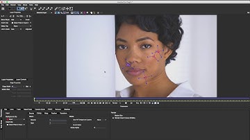 mocha Pro 5 Plug In for Avid: Beauty Work with the Insert Tool