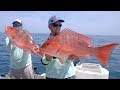 Kingfish, Cobia and Snappers - Offshore Fishing in Florida - 4K