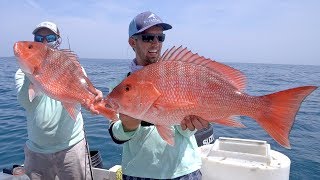 Kingfish, Cobia and Snappers  Offshore Fishing in Florida  4K