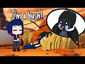 I&#39;m a bush || meme || Gacha Life [Brawl stars] ( с переводом)