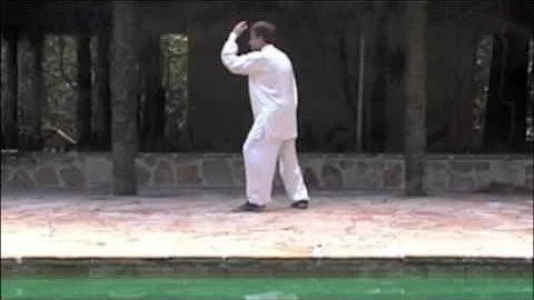 13 Postures of Yangjia Michuan Taijiquan - Dale Na...