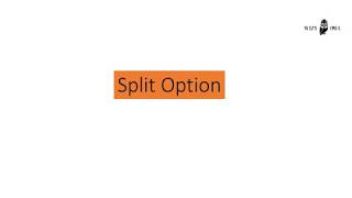 Split Option | Excel | Wizy Owl