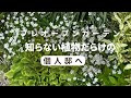 知らない植物だらけの個人邸　プレオープンガーデンへ