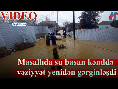 Video: Nega Prospero haydab yuborildi?