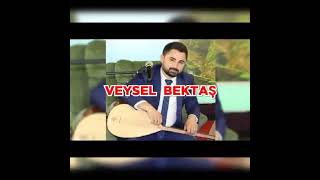 Veysel Bektaş - Dur Leyla Resimi