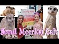 Meerkat Cafe in Seoul| Vlog