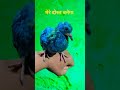 मेरे दोस्त बनेगा #shortsvideo #viralvideo #shortsviral