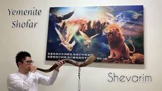 4 shofar sounds (2 tone) of the Jewish traditions - kudu horn