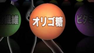 「１兆個乳酸菌・酵素 ファットパンプ」　様々な栄養素を配合