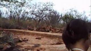 Projeto Terra Nova.wmv