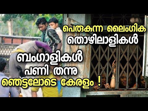 Bengali workers and Kerala Malayalam  about economy and diseases transferred  news malayalam 